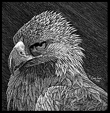 mini golden eagle image